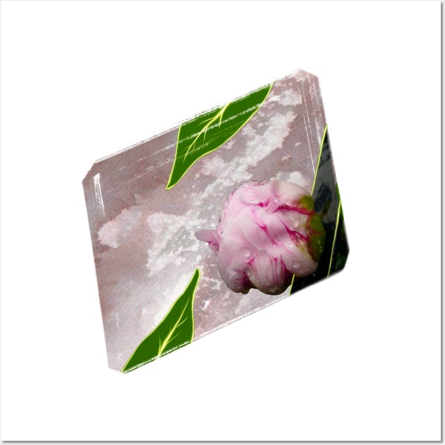 Spring Musings - Peony Bud Wall Art by Musings Home Decor